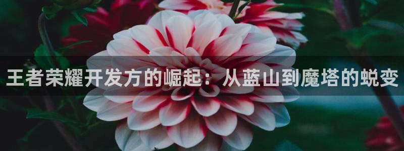 28大神下载苹果版：王者荣耀开发方的崛起：从蓝山到魔塔的蜕变