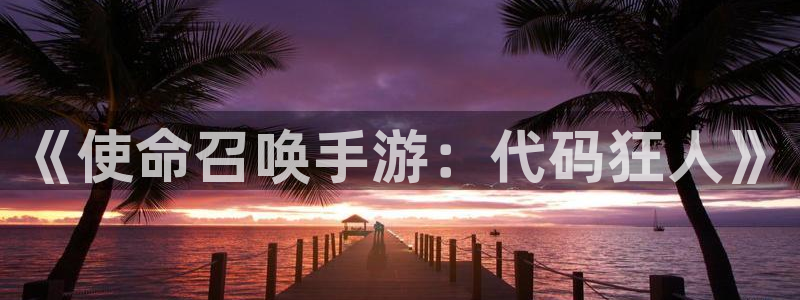 28大神2018版：《使命召唤手游：代码狂人》