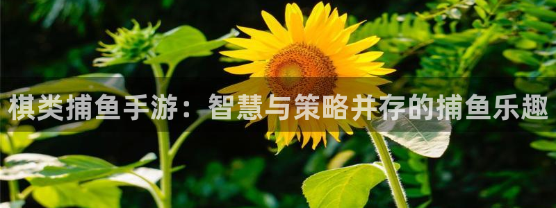28大神ios版：棋类捕鱼手游：智慧与策略并存的捕鱼乐趣