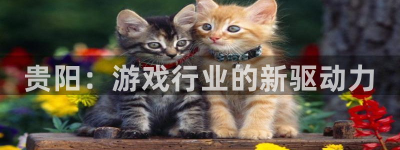 大神28官网开奖：贵阳：游戏行业的新驱动力