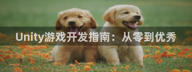 28大神预测破解版：Unity游戏开发指南：从零到优秀