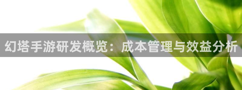 大神吧28注册：幻塔手游研发概览：成本管理与效益分析