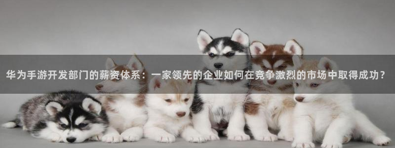 大神吧28论坛开奖：华为手游开发部门的薪资体系：一家领先的企