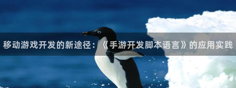 大神28下载：移动游戏开发的新途径：《手游开发脚本语言》的应