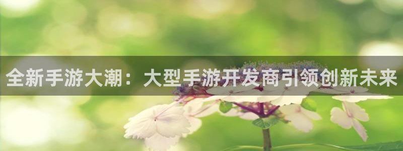 28大神专业版官网：全新手游大潮：大型手游开发商引领创新未来