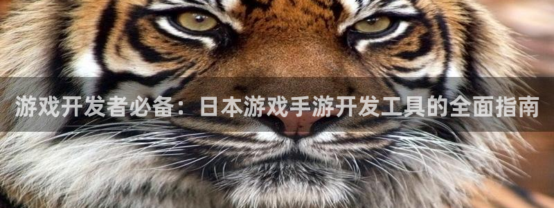 大神28手机版下载：游戏开发者必备：日本游戏手游开发工具的全