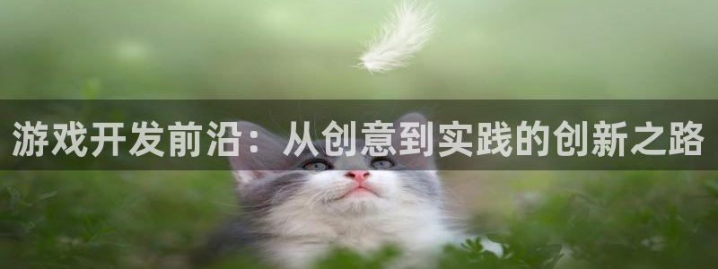 大神28杀：游戏开发前沿：从创意到实践的创新之路