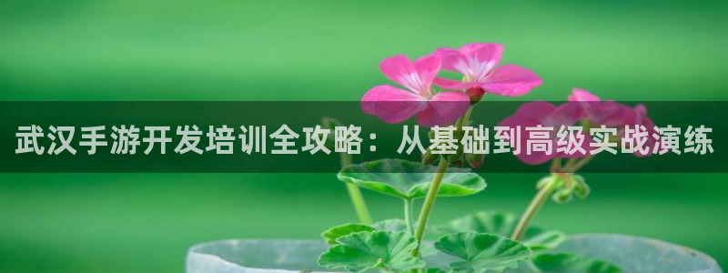 大神吧论坛28算法：武汉手游开发培训全攻略：从基础到高级实战
