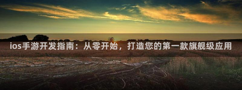 大神28官网开奖：ios手游开发指南：从零开始，打造您的第一