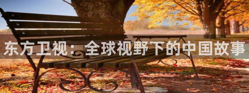 833直播足球比赛在线观看：东方卫视：全球视野下的中国故事