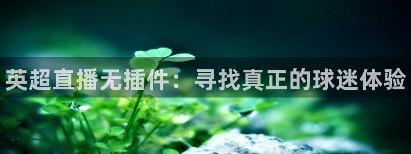 球帝带833赛事直播：英超直播无插件：寻找真正的球迷体验