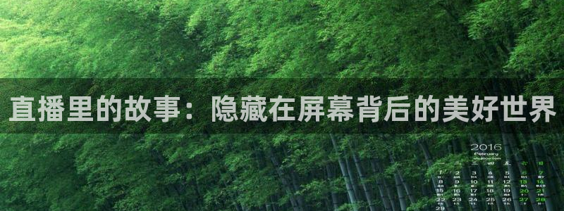 833足球直播比赛在线观看：直播里的故事：隐藏在屏幕背后的美好世界